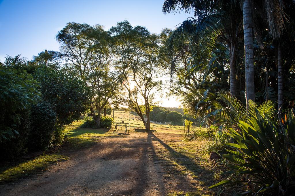 Hillview Cottages Kingaroy Exterior foto